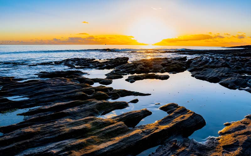 Cremation Cronulla