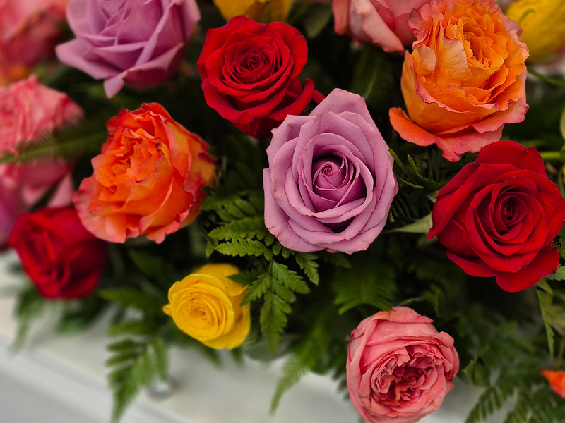 Choosing A Funeral Director In Sydneys Southern Suburbs You Can Trust 1