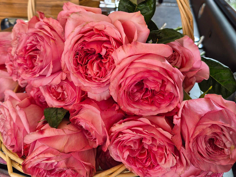 Funeral Planning In Sydneys Southern Suburbs What Families Need To Know