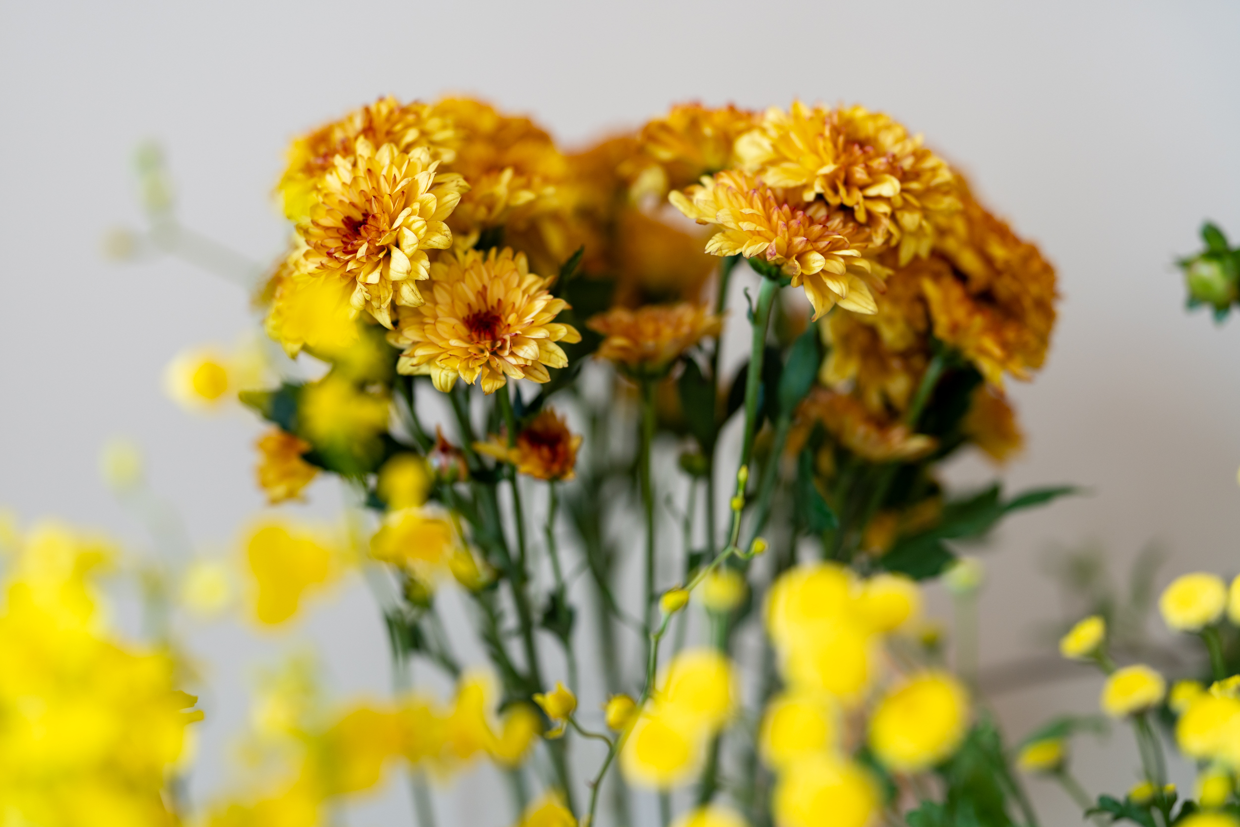 Why More Families Want Funeral Services That Feel “Like Them”