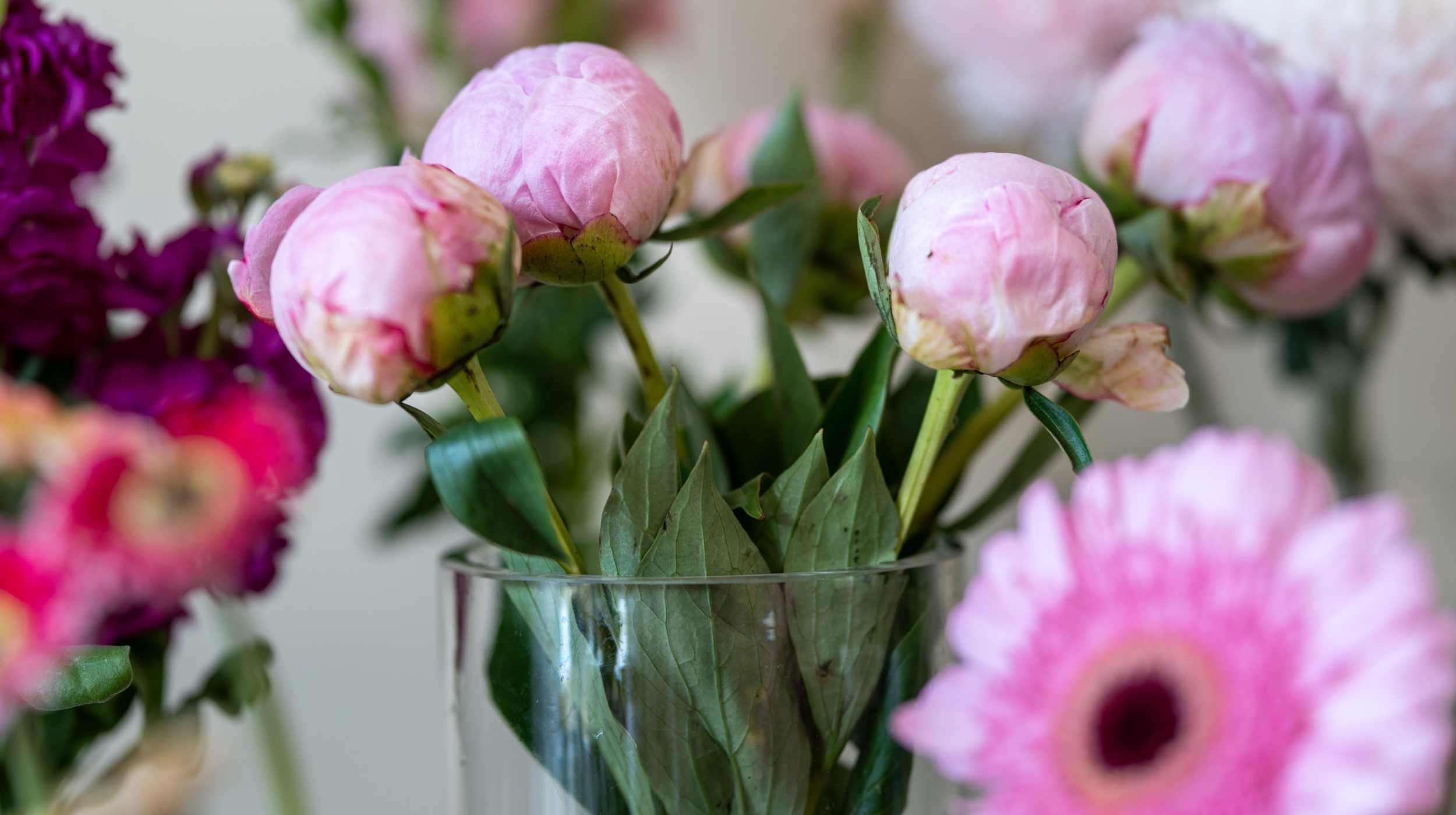 Fva Olsens Portfolio Florist